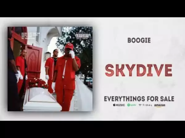 Boogie - Skydive